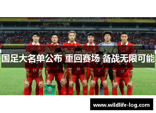 国足大名单公布 重回赛场 备战无限可能