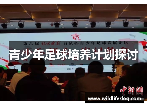 青少年足球培养计划探讨