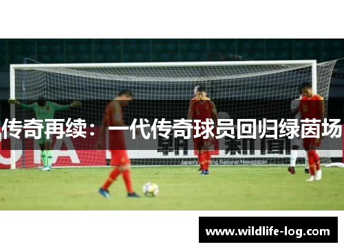 传奇再续：一代传奇球员回归绿茵场